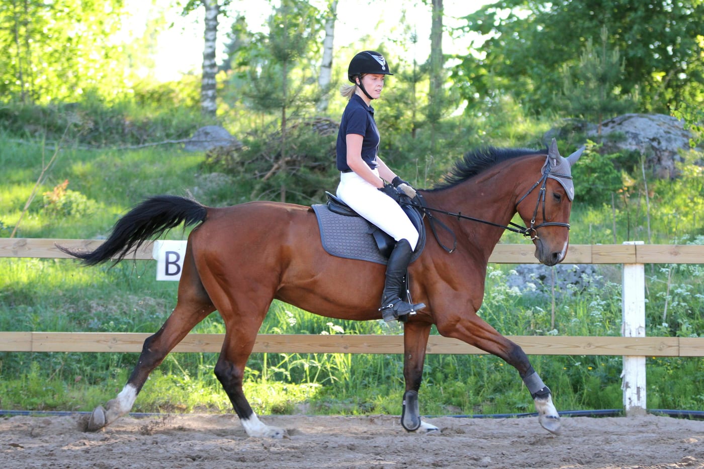 A selected frame from a schooling session showing a horse and rider in canter.