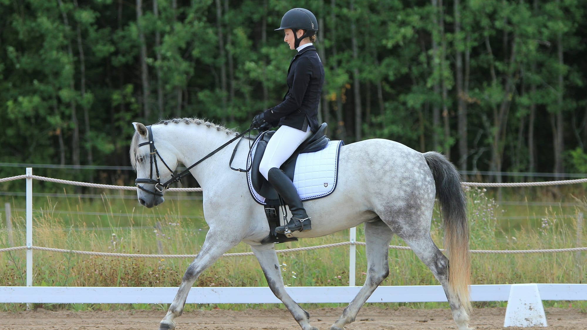 A rider schooling a horse in an outdoor arena, filmed from the side.